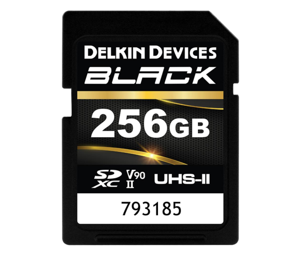 Delkin Devices 256GB SDXC BLACK Rugged UHS-II (V90) - 1258050 - zdjęcie